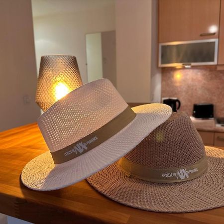 Superbe Appartement Avec Jardin Quart Mazarin Aix-en-Provence Ngoại thất bức ảnh