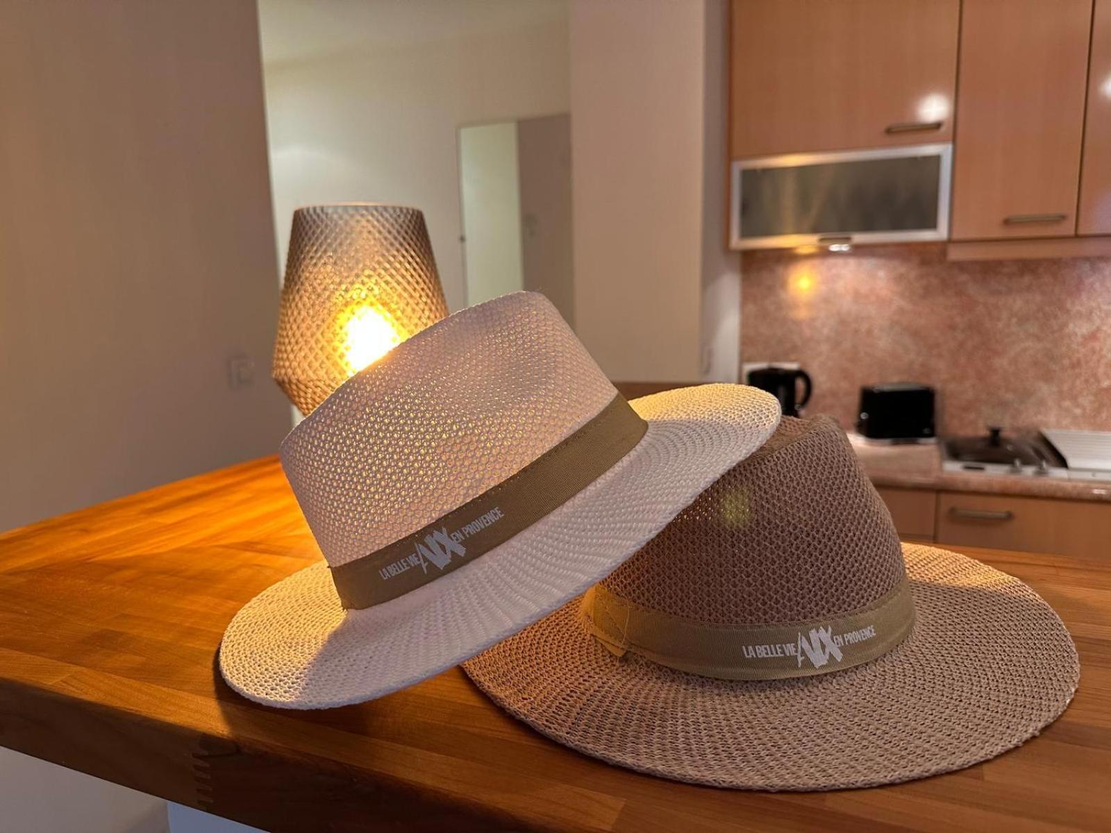 Superbe Appartement Avec Jardin Quart Mazarin Aix-en-Provence Ngoại thất bức ảnh