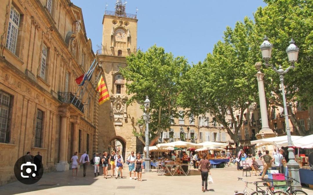 Superbe Appartement Avec Jardin Quart Mazarin Aix-en-Provence Ngoại thất bức ảnh