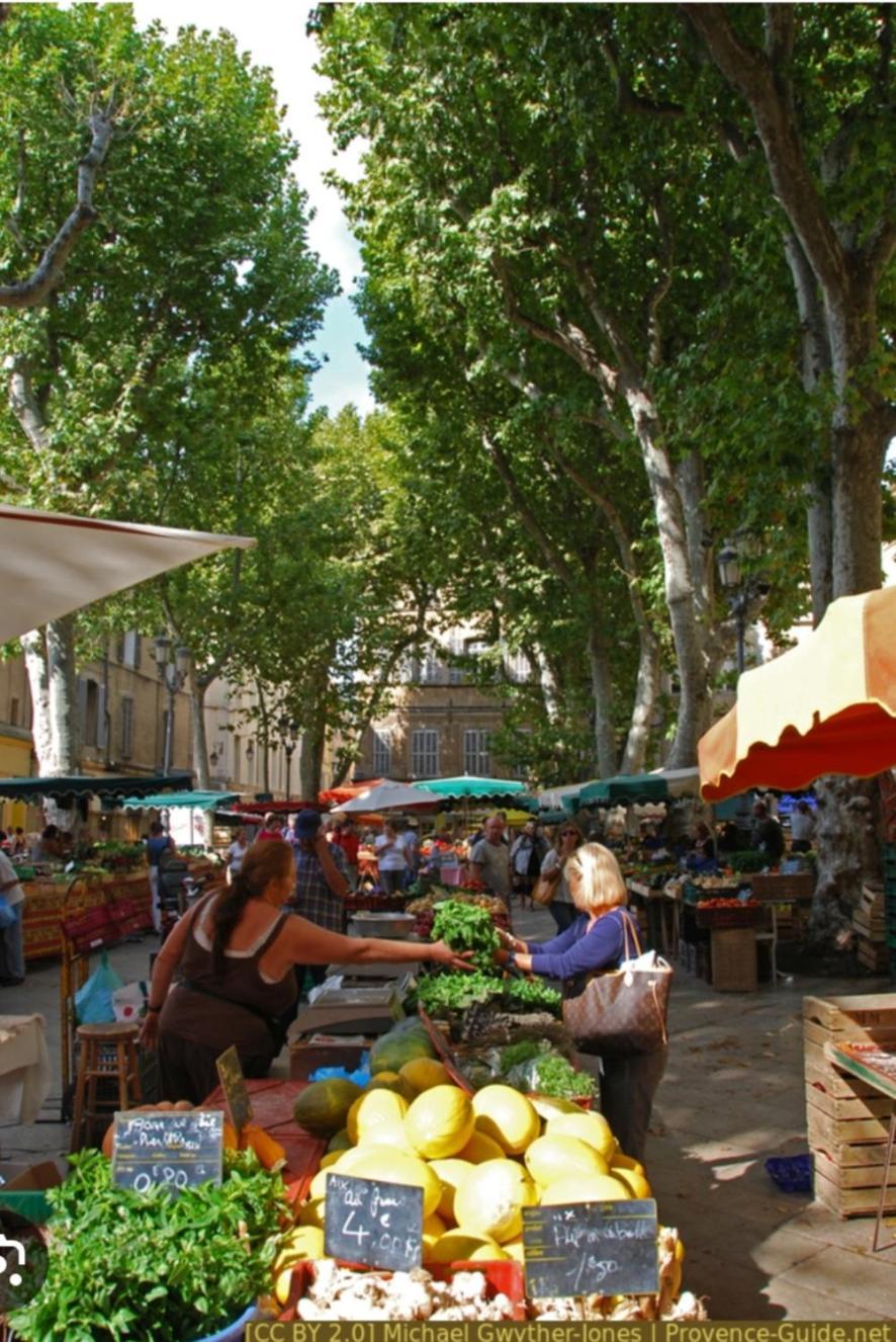 Superbe Appartement Avec Jardin Quart Mazarin Aix-en-Provence Ngoại thất bức ảnh